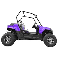 Багги HOOLEOX 300